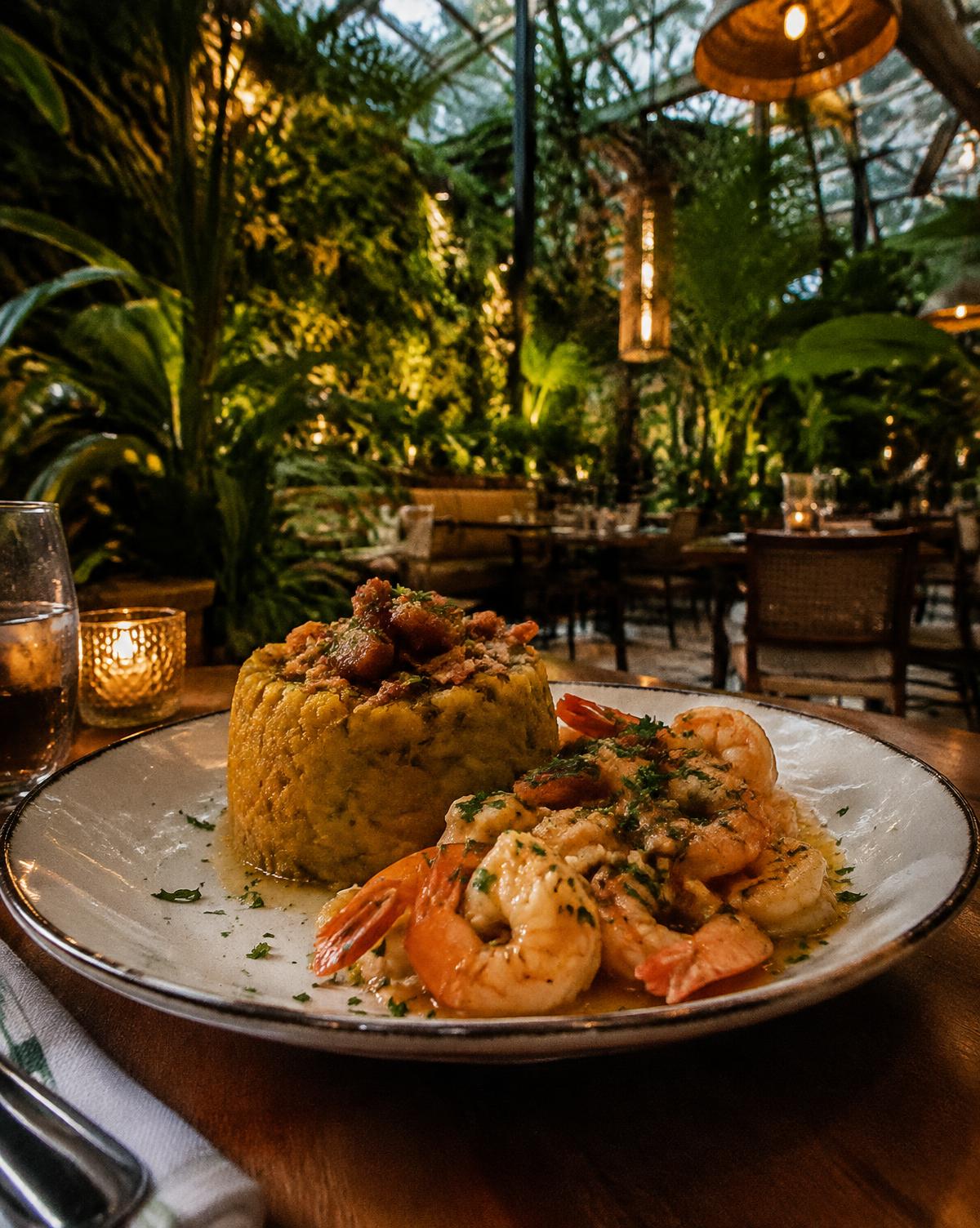 Mofongo and garlic shrimp in a plant-filled glasshouse dining room