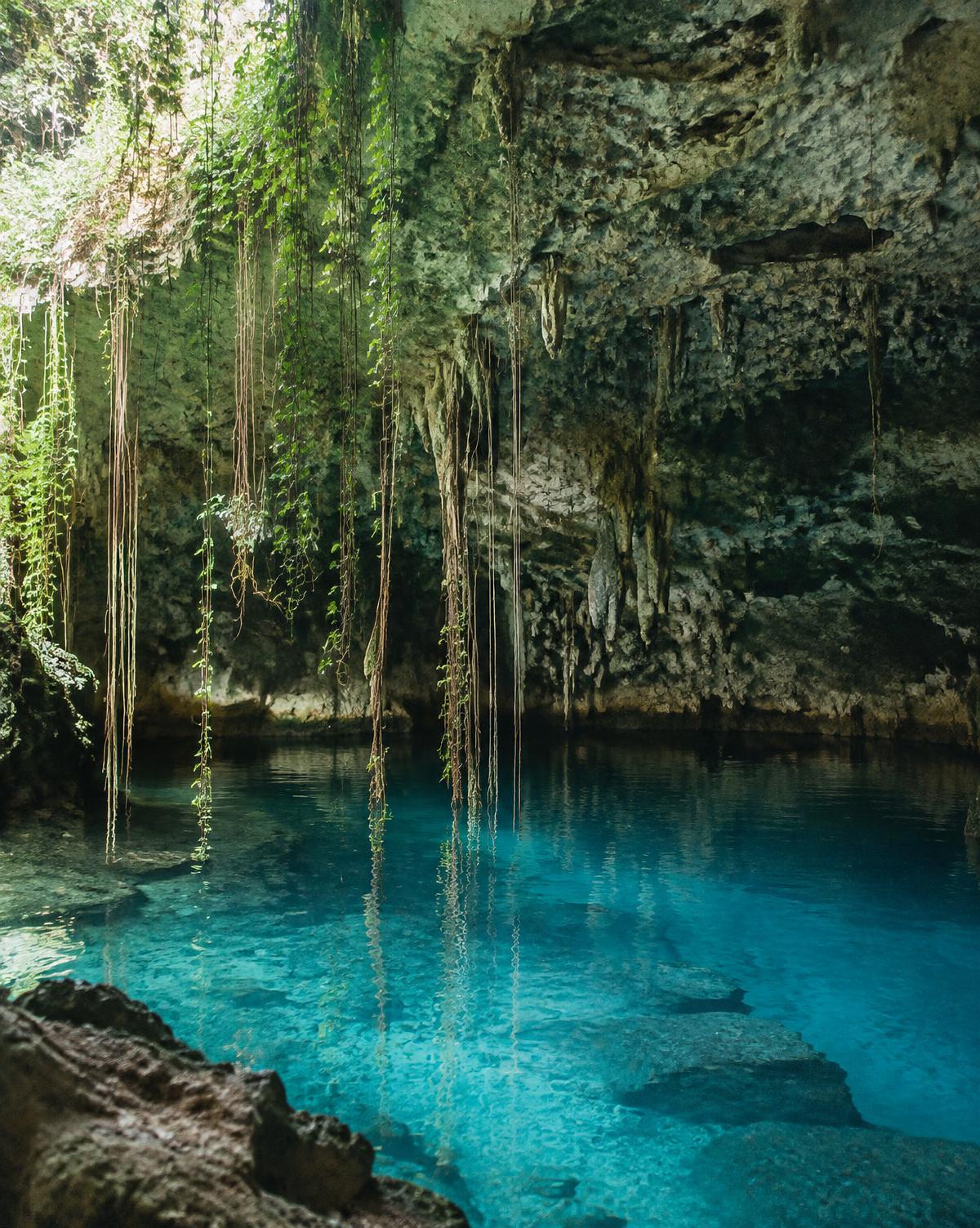 Turquoise underground lake beneath hanging vines in a limestone cave